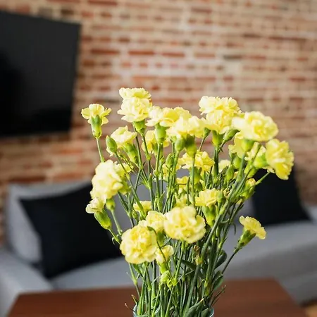 - Centre Apartment *